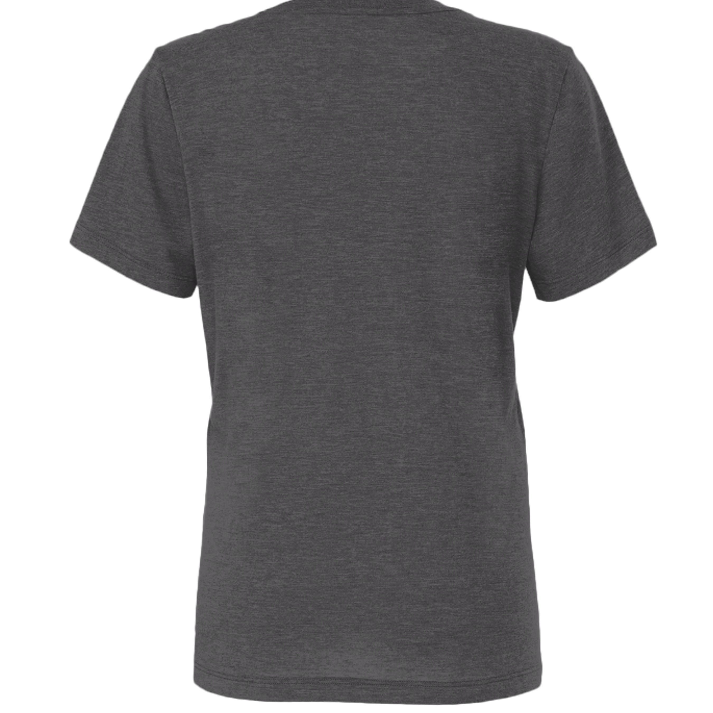 Solid Dark Grey Triblend - 6413 - BACK
